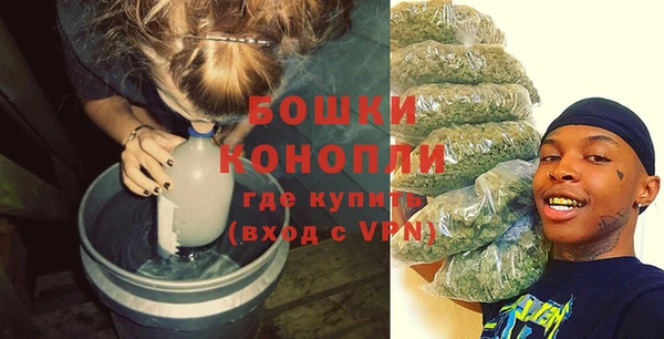 дживик Белокуриха